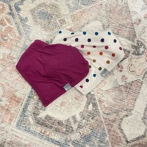 2 Kyte Baby Bibs